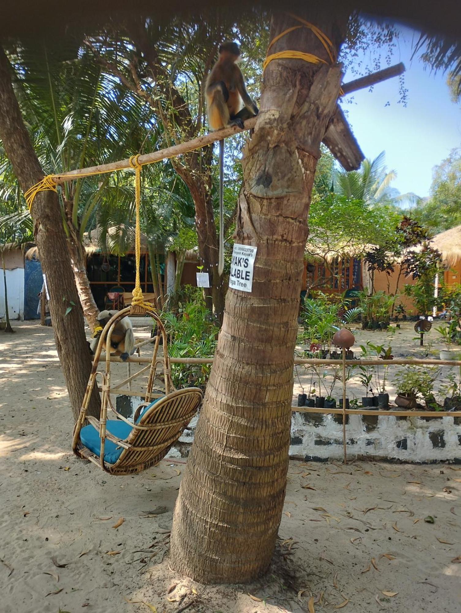 Yoga Culture Palolem Otel Dış mekan fotoğraf