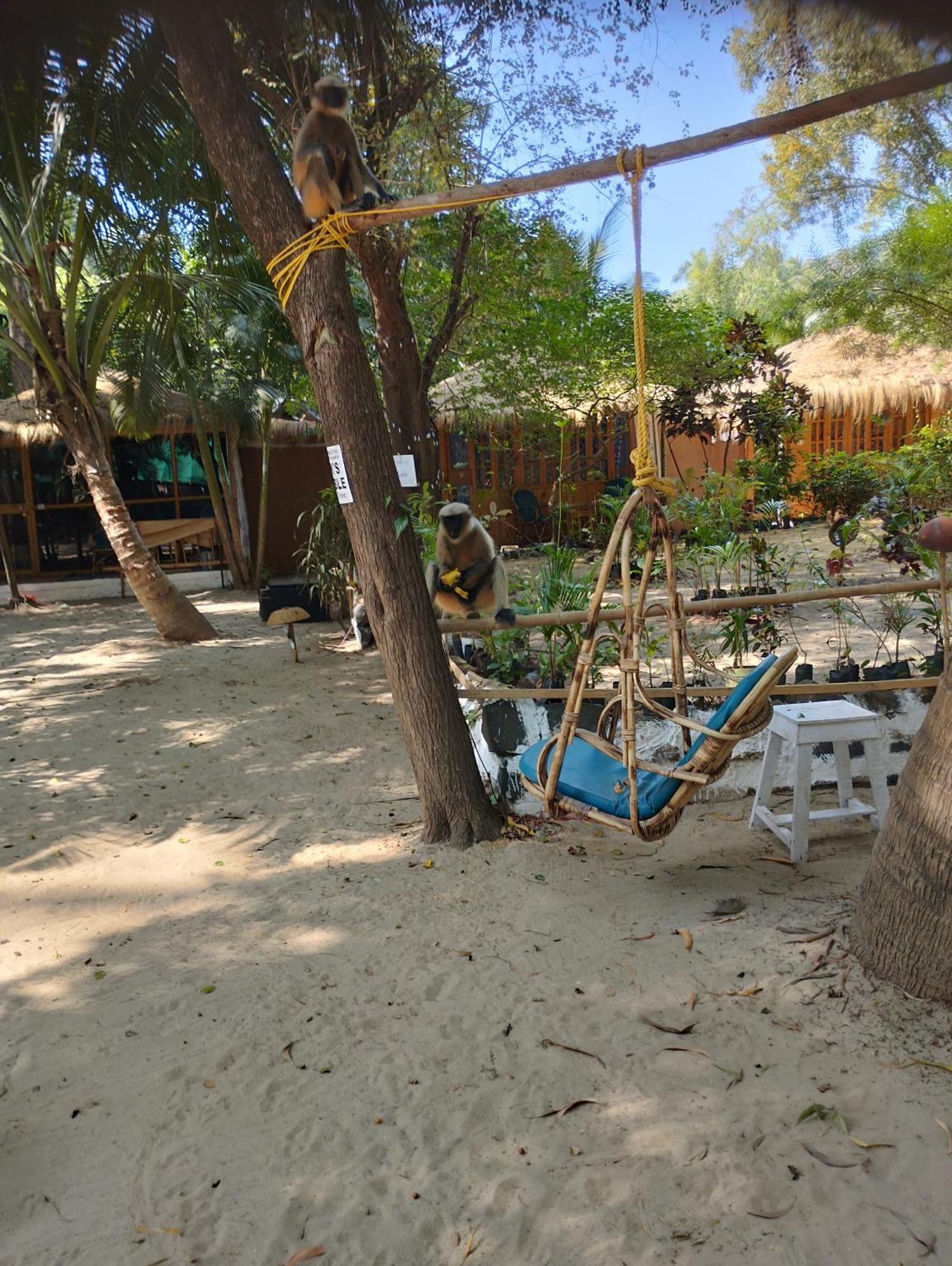 Yoga Culture Palolem Otel Dış mekan fotoğraf